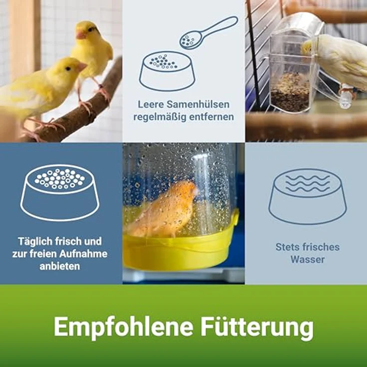 PANTO Kanarienfutter mit Pluramin, 5x1kg - Bunte Saatenmischung ohne Nüsse für gesunde Ziervögel – Bild 4