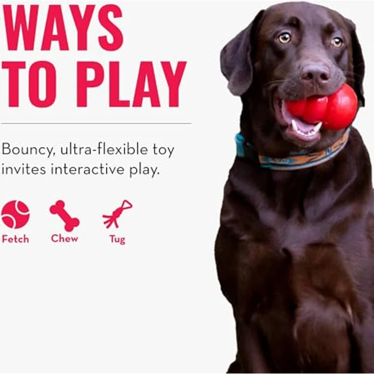 KONG Reflex Zerrspielzeug für Hunde, bissresistenter Beißring mit elastischer Schlaufe, schwimmfähig, grün – Bild 5