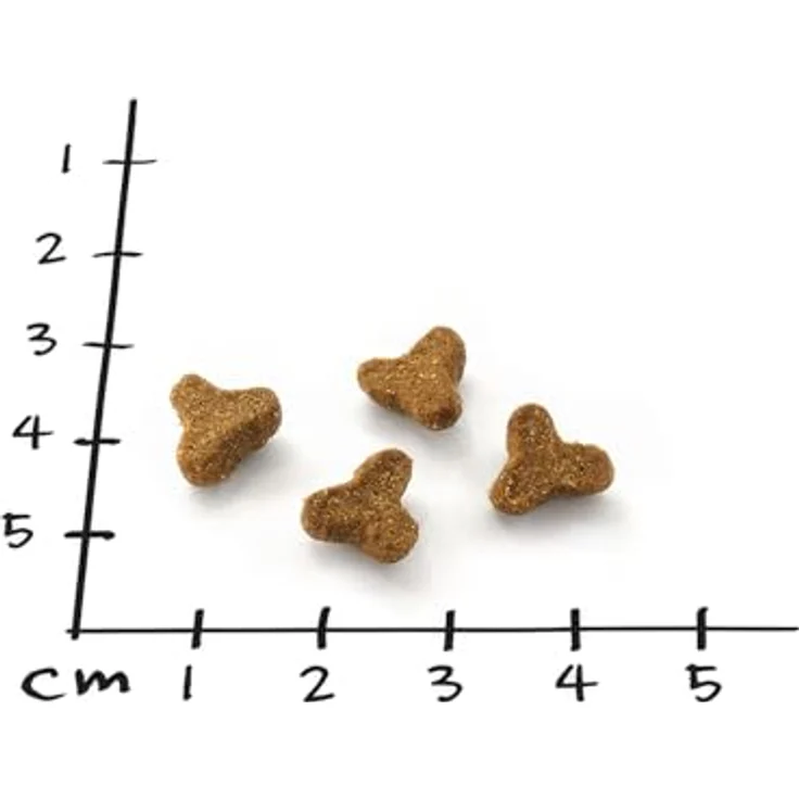 NutriQM® Knabberspaß Gelenke Katzensnack, 5 x 50 g mit Grünlippmuschel & Geflügel, für gesunde Gelenke & Beweglichkeit, knusprig & schmackhaft – Bild 4
