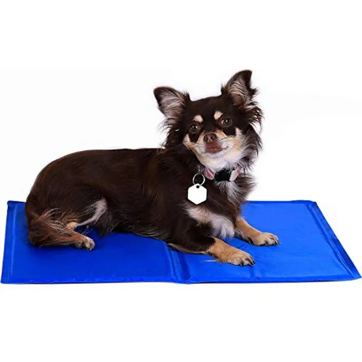 lionto Kühlmatte für Hunde & Katzen, selbstkühlende faltbare Haustiermatte 90x50 cm, ohne Strom, leicht zu reinigen, blau