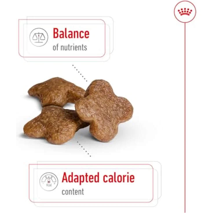 Royal Canin Mini Adult 8+, Trockenfutter für kleine Hunde (bis 10 kg) ab 8 Jahren, 4 kg, mit Antioxidantienkomplex und L-Carnitin zur Unterstützung der Vitalität – Bild 4