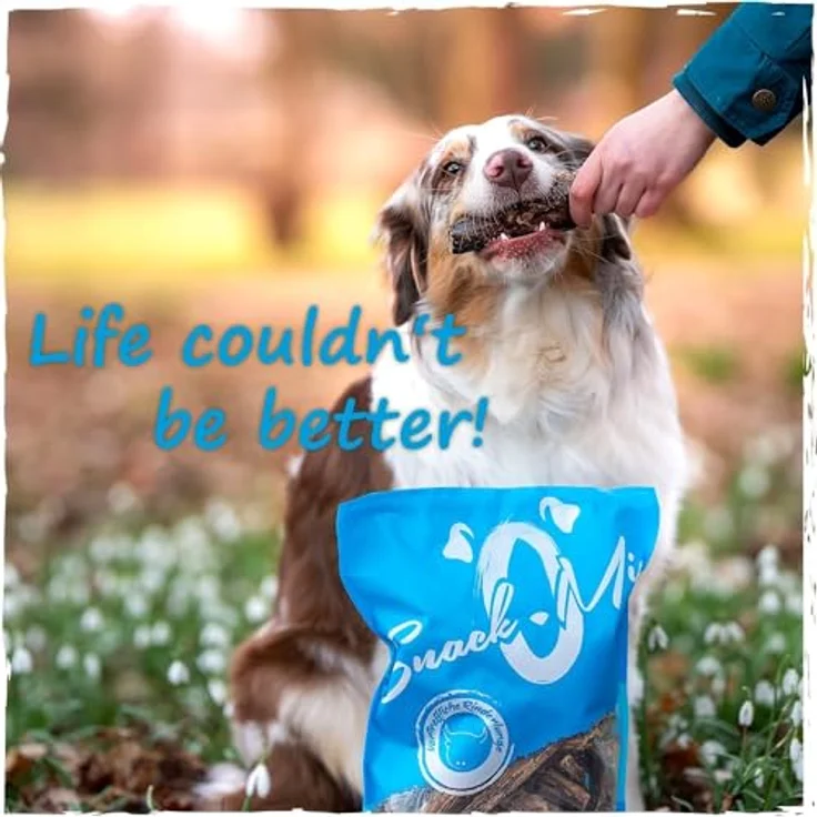 SnackOMio Premium Hundesnack, knusprige Rinderohren mit Muschel, getreidefrei, lufttrocknet, 1 Packung (650g) – Bild 4