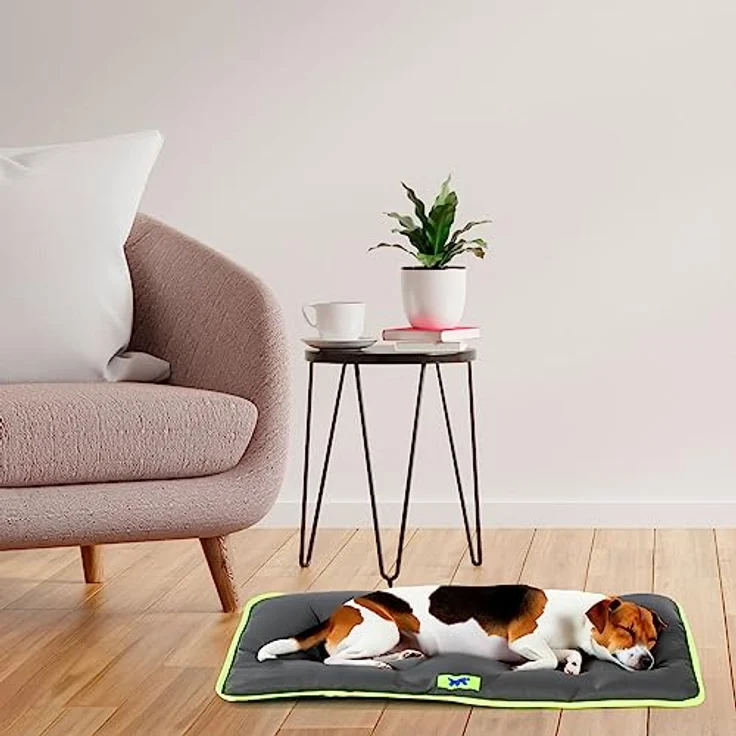 Ferplast Jolly Hundematte & Katzenmatte, Waschbares und Wasserdichtes Hundebett, Kratzfest, 65 x 48 cm, Schwarz – Bild 3