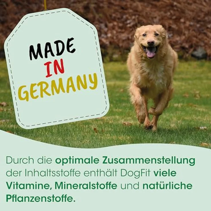cdVet DogFit, flüssiges Ergänzungsfuttermittel zur Unterstützung der Leber- und Nierenfunktion, 500 ml mit Holunderbeer- und Rote Betesaft – Bild 4