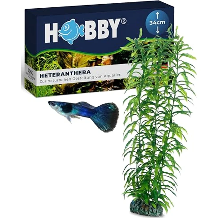 HOBBY Aquariendeko Heteranthera, künstliche Aquariumpflanze 34 cm mit natürlicher Bewegung und Felsenbasis – Bild 1