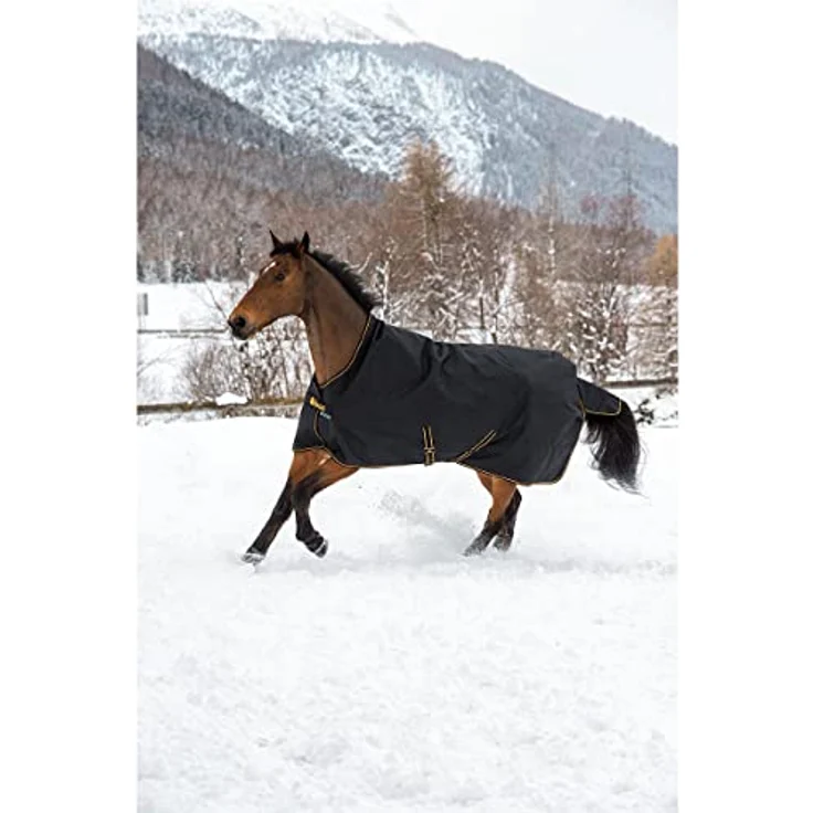 Bucas Irish Turnout Light, Wasserdichte und atmungsaktive Outdoordecke mit 50 g Füllung, High Neck, 1200D, Schwarz/Gold – Bild 3