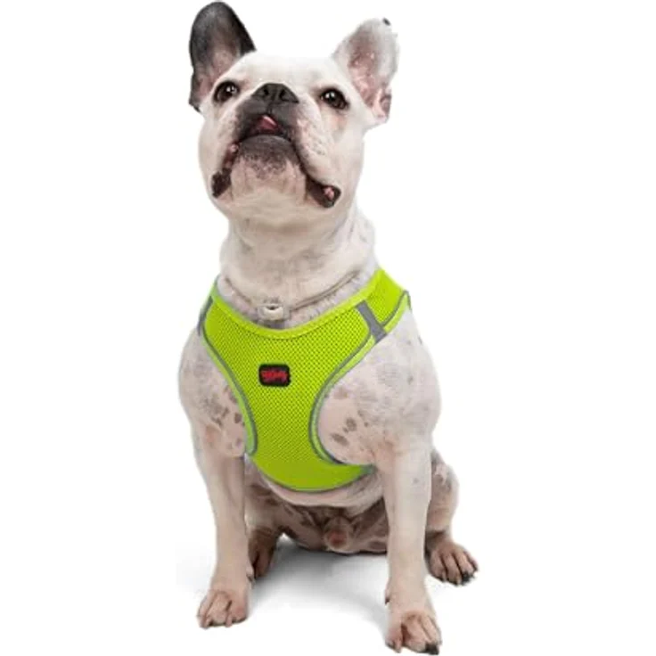 Tailpetz Air-Mesh Brustgeschirr, Weich, Atmungsaktiv, Strapazierfähig für kleine und mittelgroße Katzen und Hunde, Neonlimette, L (Brustumfang 59–63,5 cm) – Bild 1