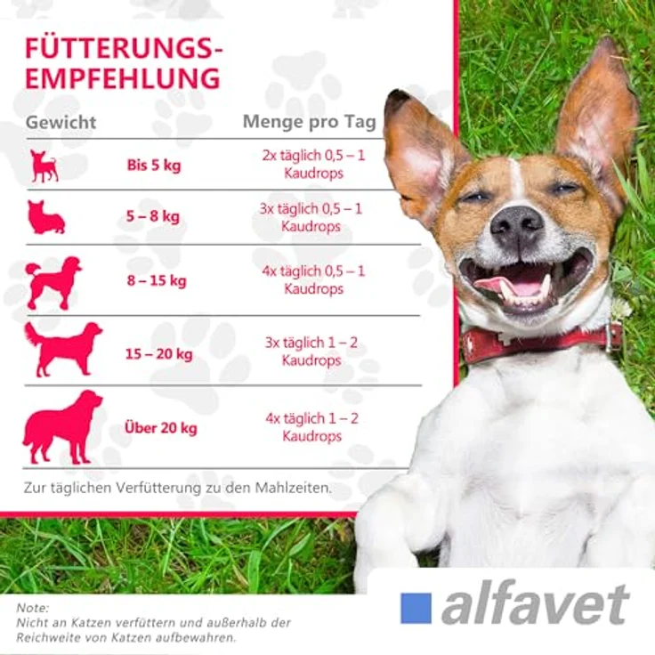 Alfavet CaniGum Fluu, Ergänzungsfuttermittel für Hunde zur Unterstützung der Abwehrkräfte, mit Kapuzinerkresse, Vitamin C, Zink und B-Vitaminen, 80g Beutel (ca. 40 Kaudrops) – Bild 5