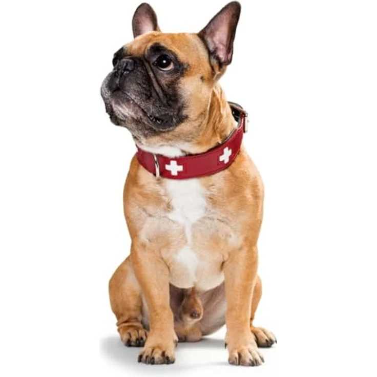 Hunter Hunde-Halsband Swiss rot-schwarz XS – Bild 7