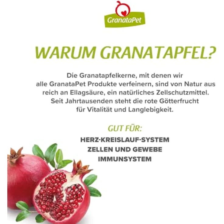 GranataPet Mini Royal Pferd Mono, Hunde-Trockenfutter mit Pferd als einzelner Proteinquelle, 1 kg – Bild 6