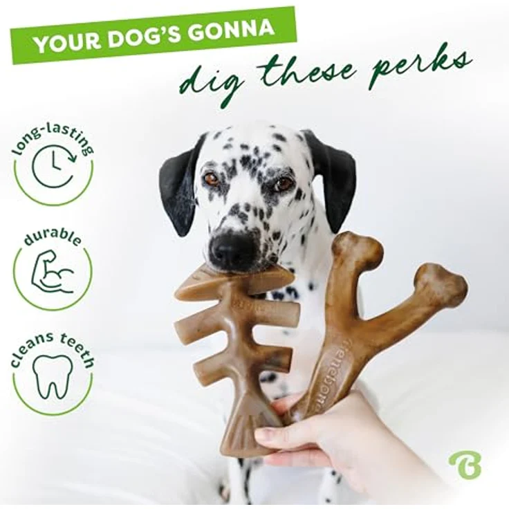 Benebone 2er Fishbone/Wishbone Kauspielzeug, Hundeknochen in M, 100% echter Speck, robust und leicht zu greifen – Bild 3