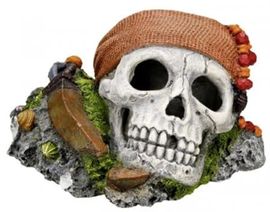 Nobby Aqua Ornaments TOTENKOPF mit Pflanzen