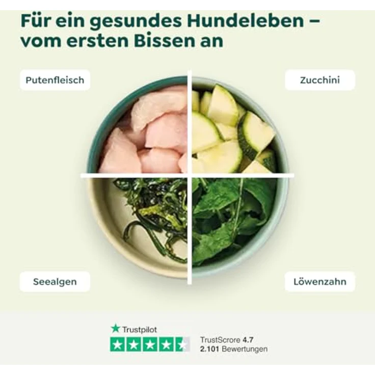 WOW Adult 6 x 800 g Pute, Hunde-Nassfutter mit hohem Fleischanteil, getreidefrei und ohne Zuckerzusatz – Bild 4