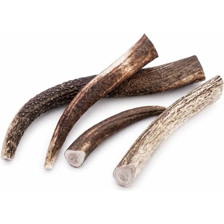 mascota vital - Hirschgeweih - 100% Hirschgeweih - Ideal für die Zahnpflege - 100% Natürlich - Geweih - Kauknochen - Hundespielzeug - Geweih vom Rothirsch (XXL (160-250g), ganz) – Bild 2