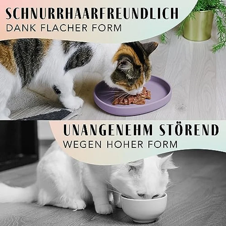 ne&no Nala Collection Flach Katzennapf, Silikon Futternapf in modernen Farben, extra flach und rutschfest – Bild 4