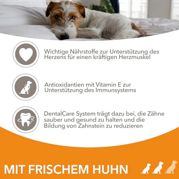 IAMS Senior Hundefutter trocken mit Huhn, Trockenfutter für ältere Hunde ab 8 Jahren, 5 kg, für kleine und mittelgroße Rassen, weizenfrei, reich an tierischem Protein – Bild 4