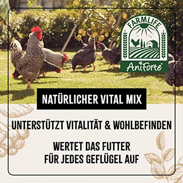 AniForte FarmLife Vital Mix für Geflügel 500 g – Naturprodukt mit Hagebutte, Aroniabeere & Spirulina zur Nährstoffversorgung für Hühner, Wachteln, Gänse & Enten – Bild 3