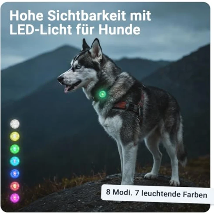 PAJ Light MINI, stark leuchtendes Mini Leuchthalsband für kleine + mittlere Hunde & Katzen – 100% wasserdicht, anpassbare Anbringung, 7 Farben für Sicherheit bei Nacht – Bild 2