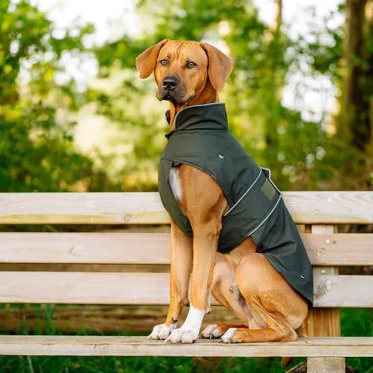 Nobby Hundemantel Sela, dunkelgrün, wasser- und windabweisend mit herausnehmbarem Fleecefutter und Reflektorstreifen – Bild 3