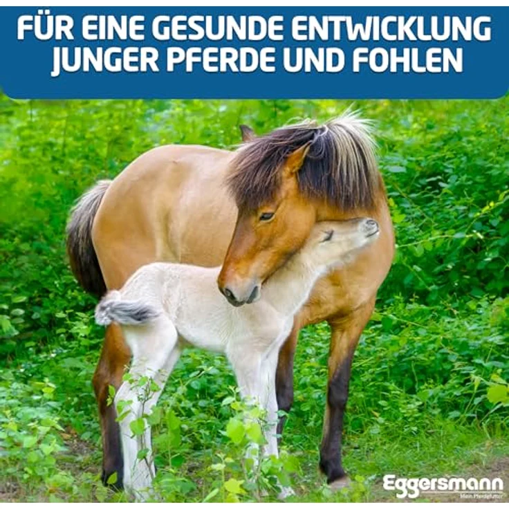 Eggersmann Mein Pferdefutter Osteomin Pellets 8 kg – Mineralfutter für Junge Pferde zur Unterstützung der Entwicklung mit ausgewogenem Calcium-Phosphor-Verhältnis – Bild 4