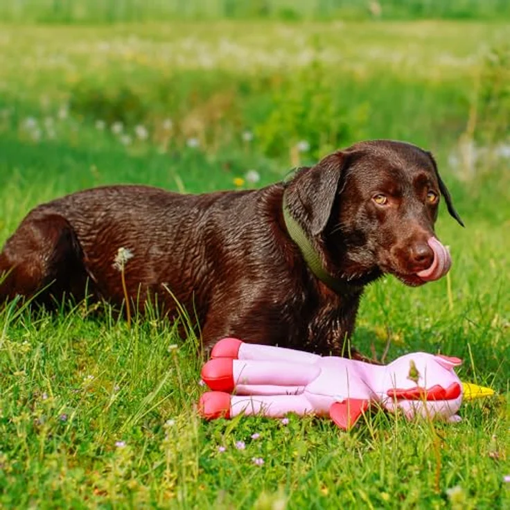 Nobby Wasserspielzeug Einhorn Floating, Kauspielzeug aus Stoff mit Squeaker, schwimmfähig, 39,5 cm, pink – Bild 6