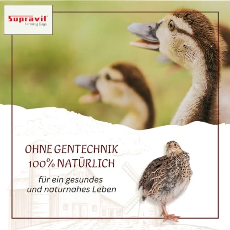Supravit Geflügelkörnerfutter 5kg – 100 % naturnah & artgerecht, hochwertiges Alleinfutter für Hühner, Enten, Wachteln, ohne Gentechnik, ideal als Winter- oder Zusatzfutter – Bild 3