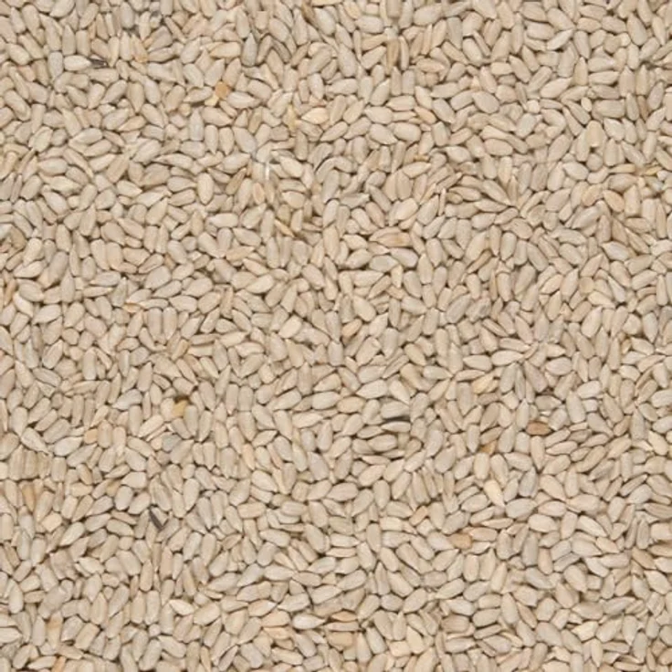 Versele-Laga Menu Nature, geschälte Sonnenblumenkerne, 750 g, ideale Energiequelle für Wild- und Gartenvögel – Bild 4