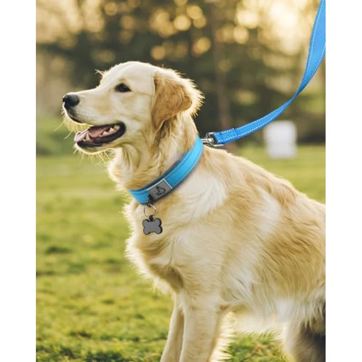 Joytale gepolstertes Neopren Hundehalsband für große Hunde, reflektierend, baby blau – Bild 3