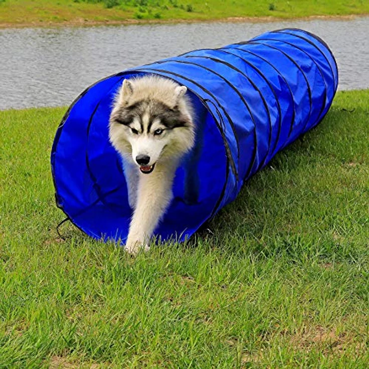 lionto Outdoor Tunnel, faltbarer Agility Tunnel für Hunde und Kinder, 500x60 cm, reißfest mit Heringen und Tragetasche, blau – Bild 2