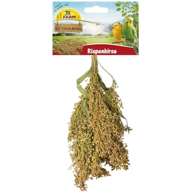 JR FARM Birds Rispenhirse, 100 g natürliche Nahrungsergänzung für Vögel, reich an Eisen und Silizium, gentechnikfrei, made in Germany
