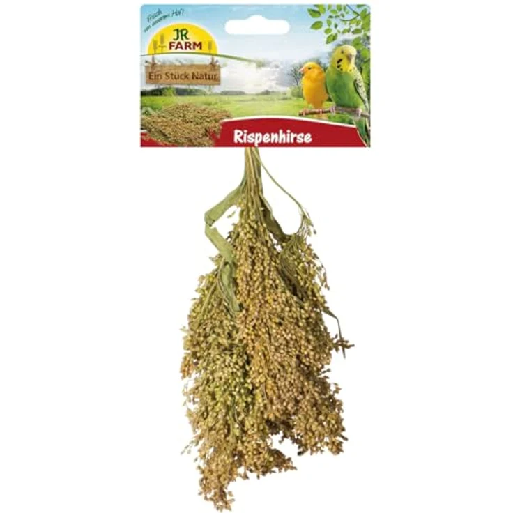 JR FARM Birds Rispenhirse, 100 g natürliche Nahrungsergänzung für Vögel, reich an Eisen und Silizium, gentechnikfrei, made in Germany – Bild 1