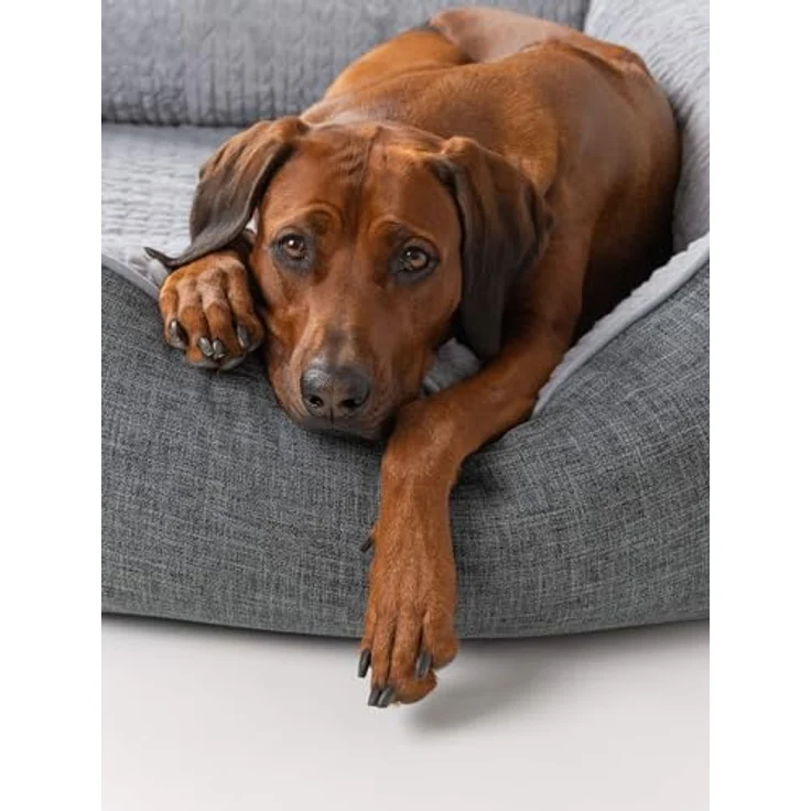 TrendPet VitaBed, Orthopädisches Hundebett mit 5cm Memofoam, abnehmbarer waschbarer Bezug, 120x100cm – Bild 2