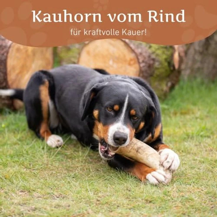 Wildfang® Rinderhorn Kauartikel, M – Langlebiges Hundespielzeug für aggressive Kauer, natürliche Zahnpflege, geeignet für Hunde bis 25 kg, 3er Pack – Bild 2