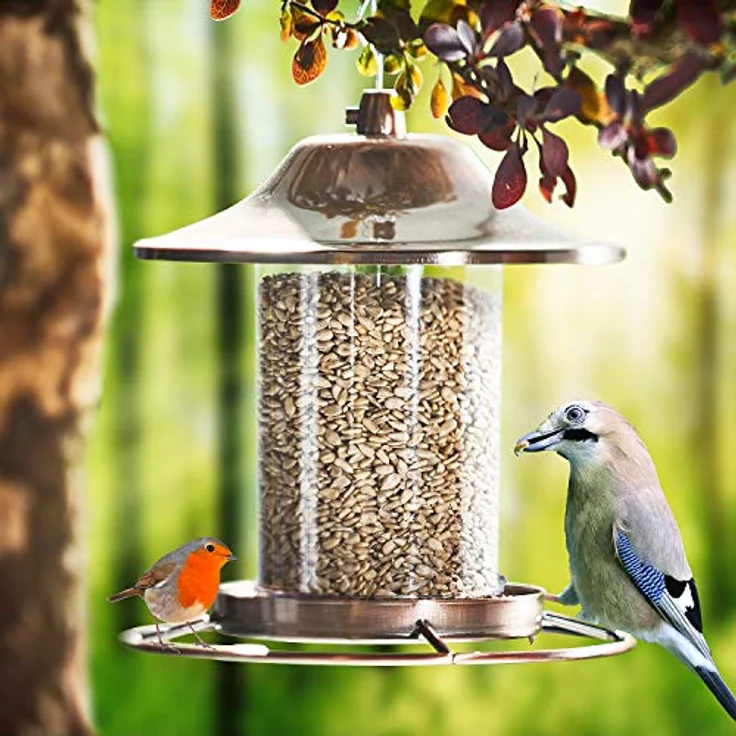Paul´s Mühle Sonnenblumenkerne geschält für Vögel, 5 kg, Neue Ernte 2025, ideale Ganzjahresfütterung – Bild 5