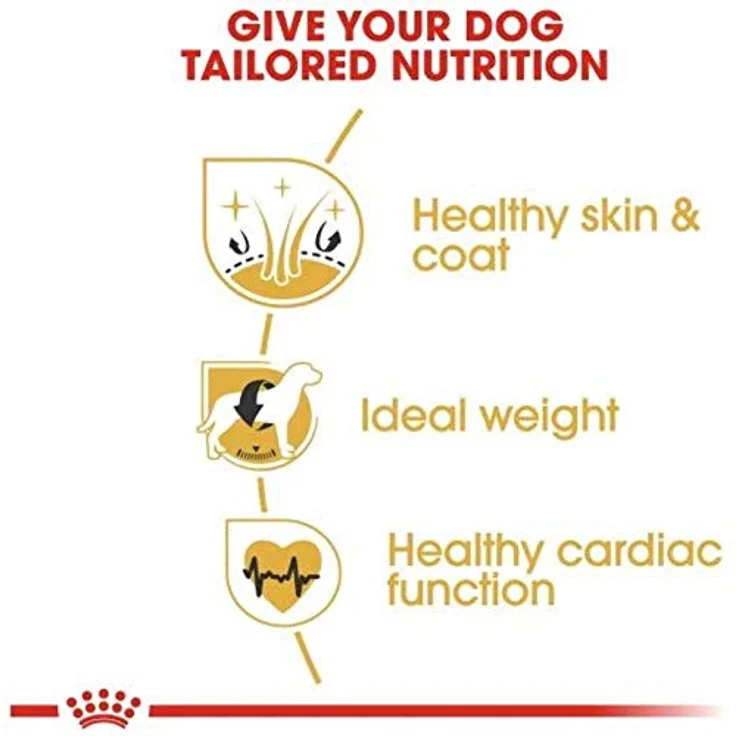 ROYAL CANIN Cocker Adult Hundefutter, trocken, 2x12kg Sparangebot, schmackhaft und haut- sowie fellpflegend – Bild 6