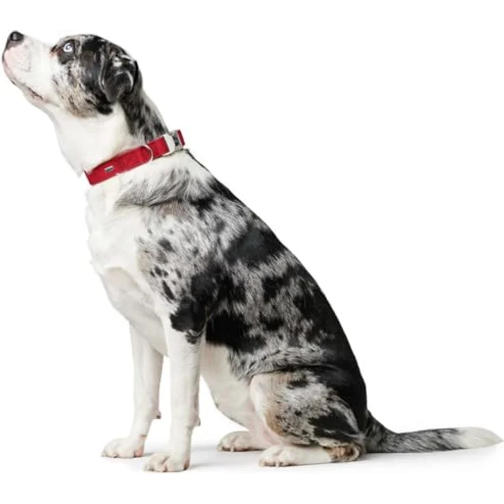 Hunter Hunde-Halsung Softie Alu-Strong rot L – Bild 3