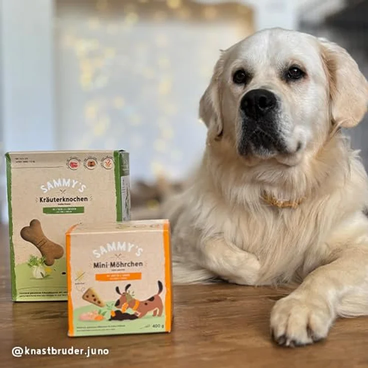 Bosch Sammy´s Kräuterknochen 1kg, Schonend gebacken mit feinem Lamm für sensible Hunde – Bild 5