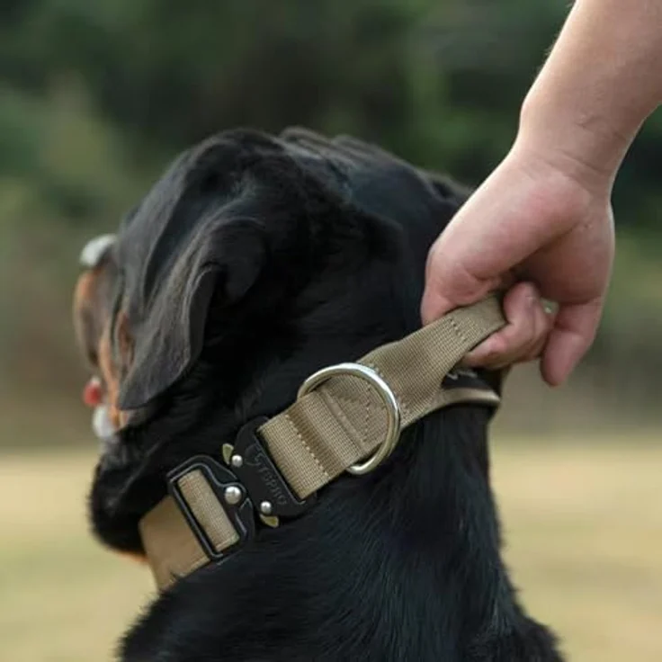 TSPRO Premium Taktisches Hundehalsband mit Griff, Dickes Verstellbares Halsband aus strapazierfähigem Nylon, Schnellverschluss Metall, Schwarz, Größe L für Mittelgroße bis Große Hunde – Bild 3
