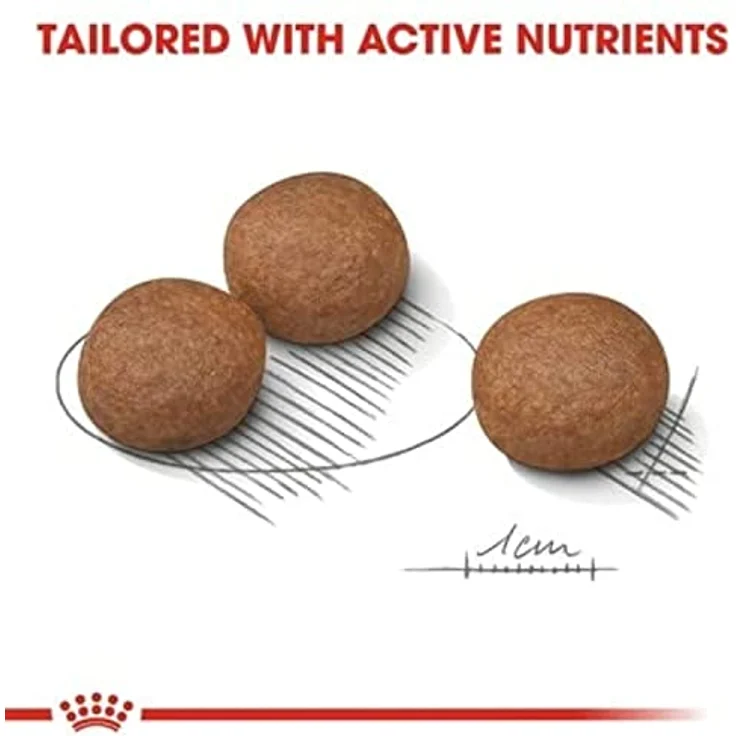 Royal Canin Digestive Care Medium, Trockenfutter für mittelgroße Hunde mit empfindlicher Verdauung, 12 kg – Bild 3