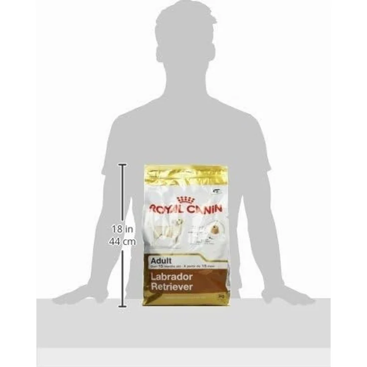 Royal Canin Labrador Retriever Adult, Trockenfutter für Hunde mit knochenstärkender Wirkung, 3kg – Bild 2