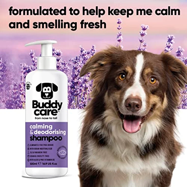 Buddycare Beruhigendes & desodorierendes Hundeshampoo, Lavendelduft mit Aloe Vera und Pro-Vitamin B5, 500ml – Bild 3