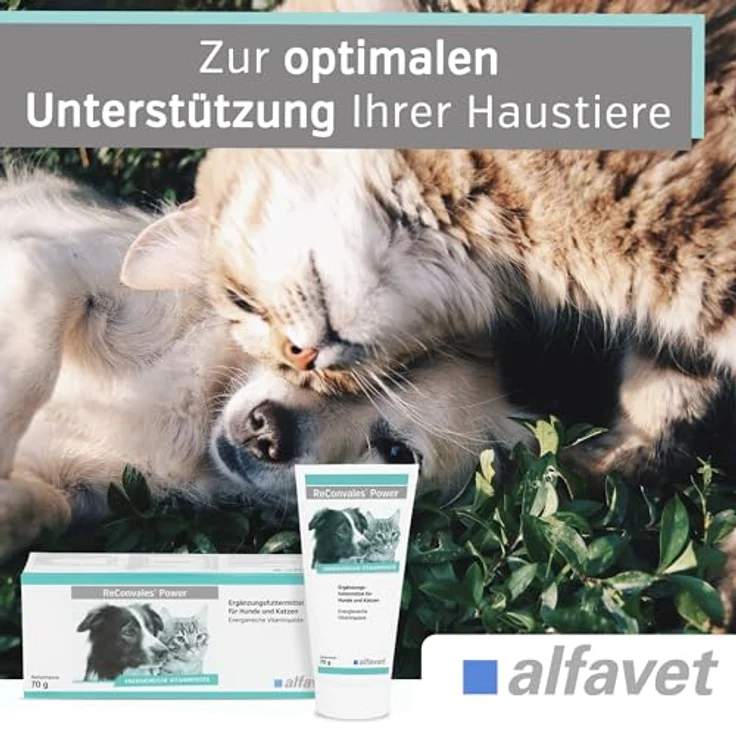 Alfavet ReConvales Power, Diät-Ergänzungsfuttermittel für Hunde und Katzen, hochkalorische Päppelpaste bei Untergewicht, Tube 70 g – Bild 4
