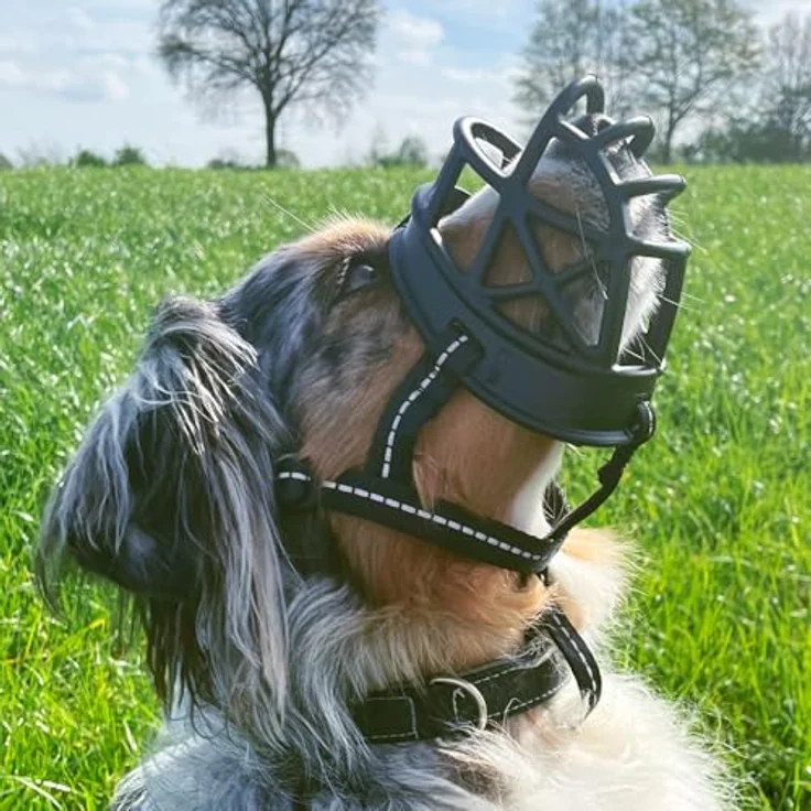 Nobby Hundemaulkorb Comfort L, schwarzer Kunststoff-Maulkorb mit weicher EVA-Polsterung und reflektierenden Nylonbändern – Bild 2