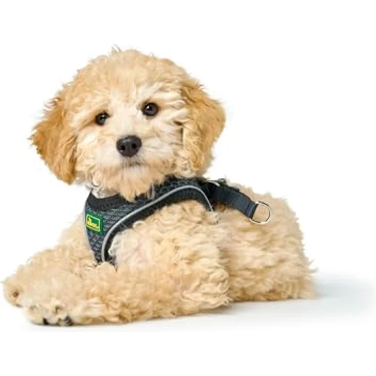 Hunter Hunde-Geschirr Hilo Comfort anthrazit S-M – Bild 8