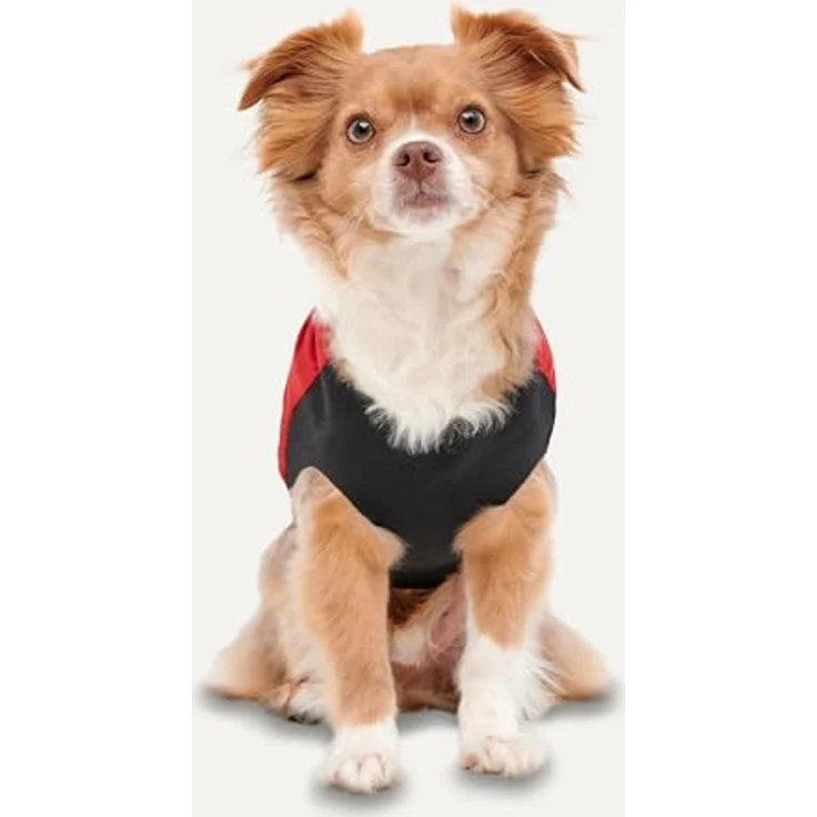 Goo-eez Gooeez Mock Neck Signature Jacket, Winterjacke für Hunde, wasserabweisend, Plüschfutter, XS, Rot/Schwarz – Bild 3