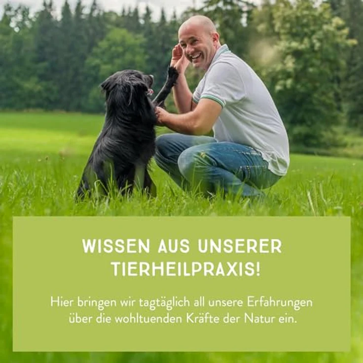 naftie Bio Hundefutter Reinfleischdosen Mischpakete, 100% Reinfleisch pur, glutenfrei, getreidefrei, 6 x 800g – Bild 5