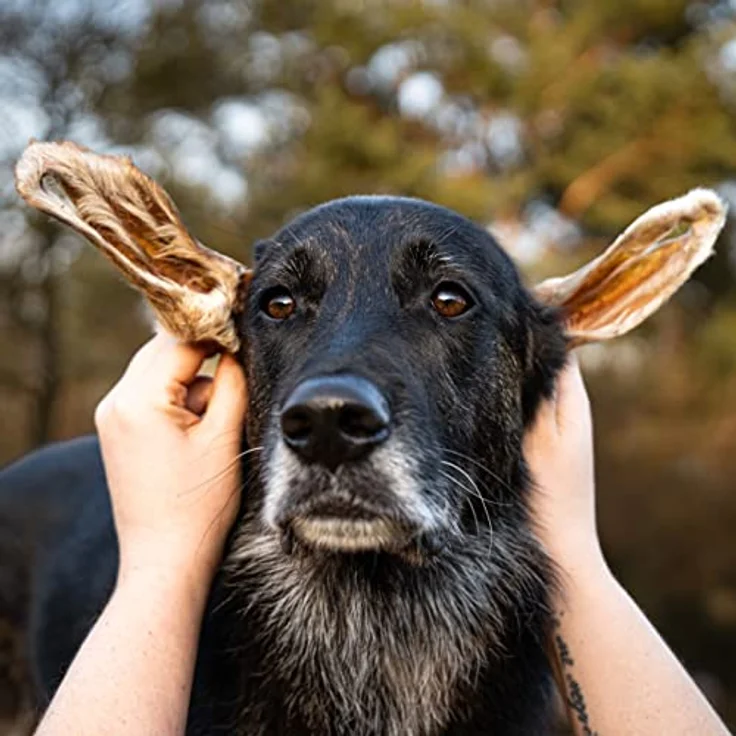 Bellfor Lammohren mit Fell, Getreidefreie Kauartikel für Hunde, 250 g, fördert Zahnhygiene und reduziert Plaque – Bild 4