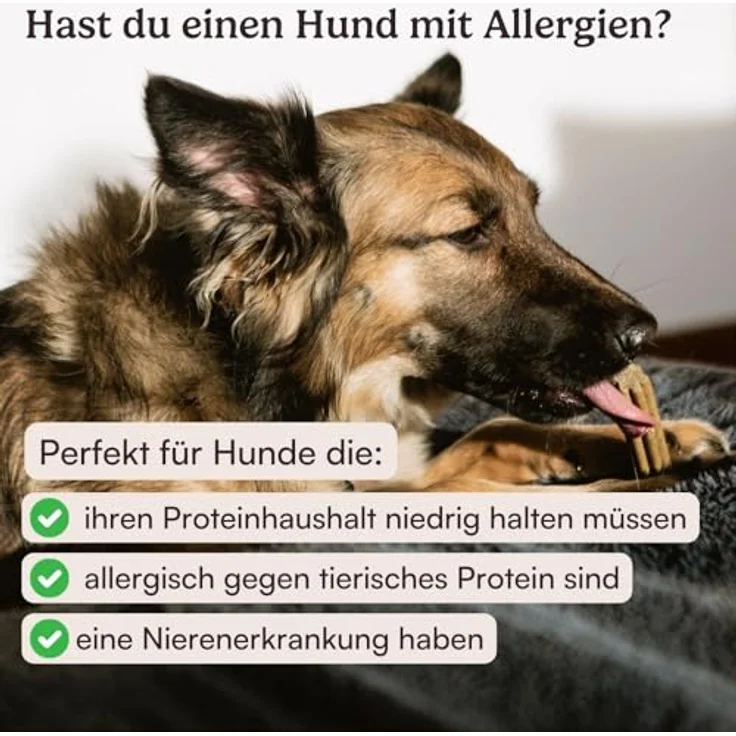 Hunderunde Dental Sticks Traumfänger, 42 STK, vegane Zahnpflege mit Baldrian, Lavendel & Passionsblume, getreidefrei und allergikerfreundlich – Bild 8