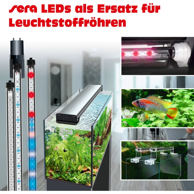 Sera LED X-Change Tube cool daylight 660 mm, Aquarium-Beleuchtung mit bläulichem Tageslicht, dimmbar, 16 W