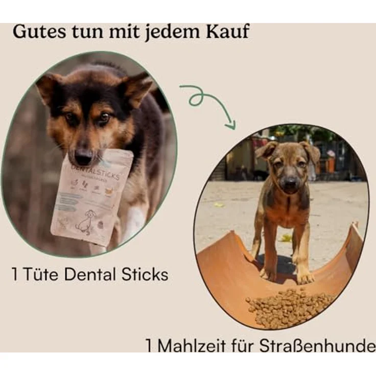 Hunderunde Zahnfee Dental Sticks, vegane Zahnpflege für Hunde, 42 STK mit Apfeltrester & Pfefferminze, gegen Zahnstein & Maulgeruch, getreidefrei – Bild 10